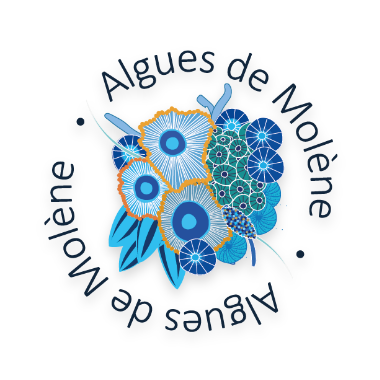 logo_alguesDeMolene